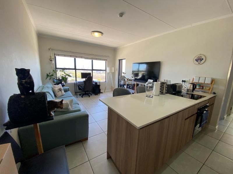 To Let 1 Bedroom Property for Rent in Richwood Western Cape